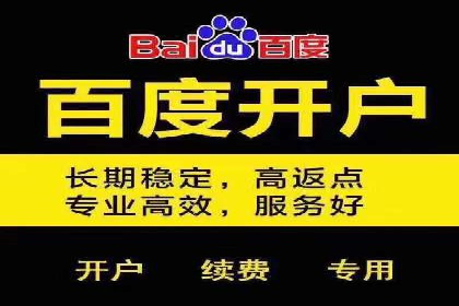 搜索引擎广告（SEM）在本地化推广中的运用案例